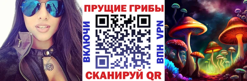 где можно купить наркотик  Анадырь  MEGA как зайти  Галлюциногенные грибы Magic Shrooms 